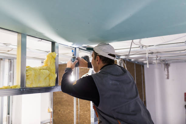 Best Insulation for Specific Applications in Fulda, MN