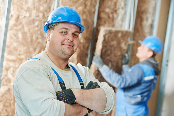 Best Insulation Maintenance and Repair in Fulda, MN