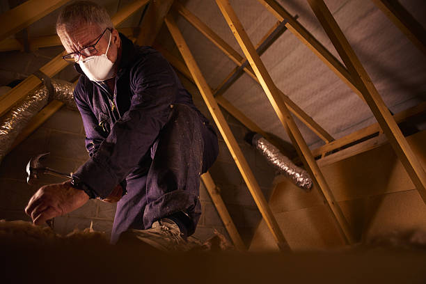 Best Specialty Insulation in Fulda, MN